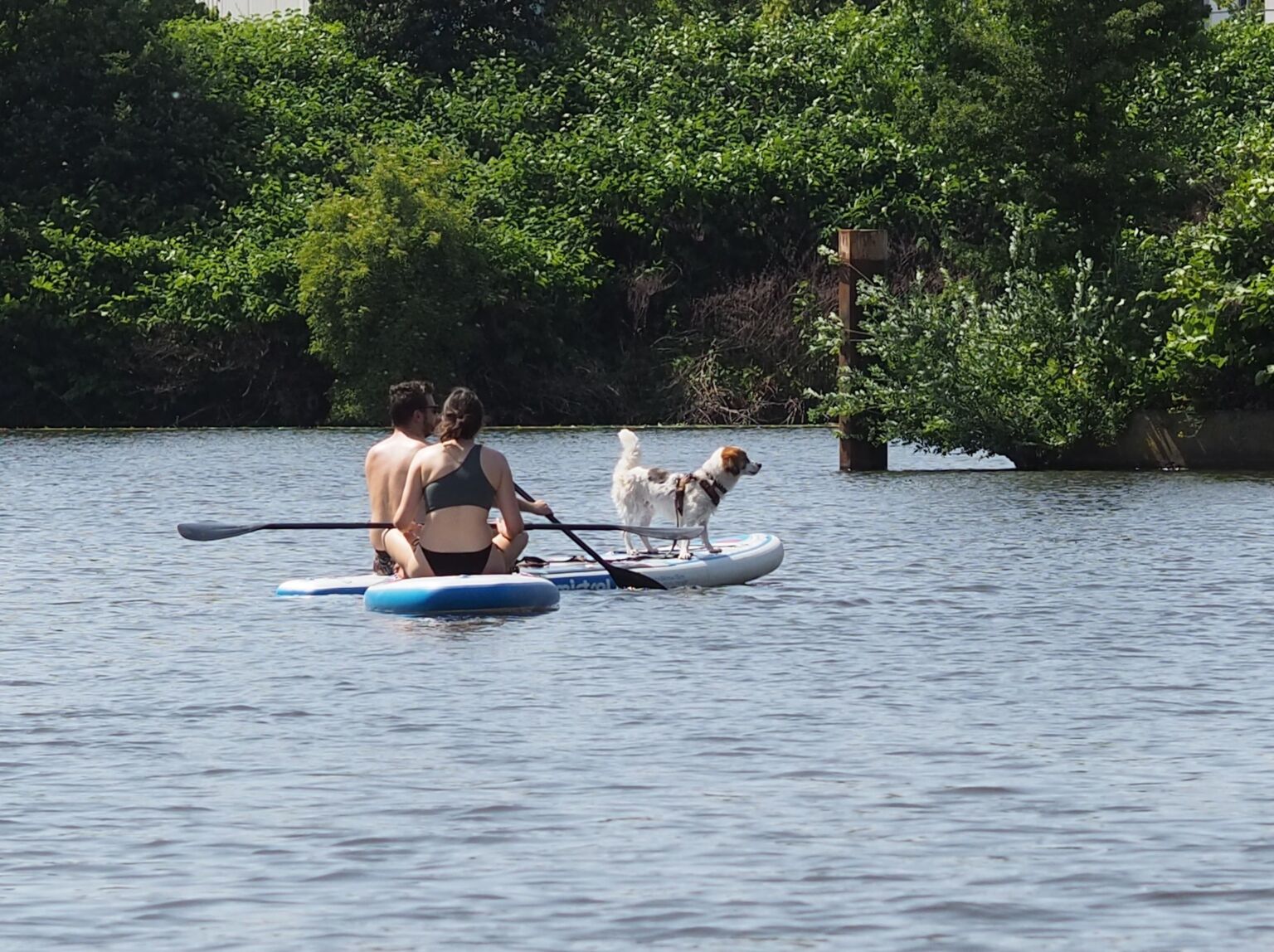 Freizeit in Hamburg auf dem Wasser mit Freunden